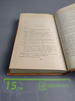 Посмертные записки Пиквикского клуба. Главы I-XXIX