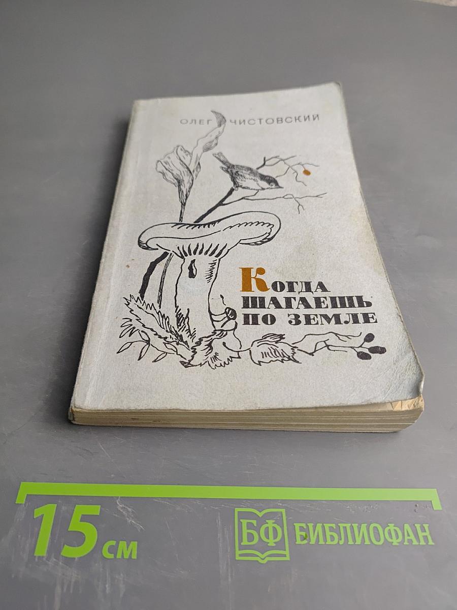 Когда шагаешь по земле