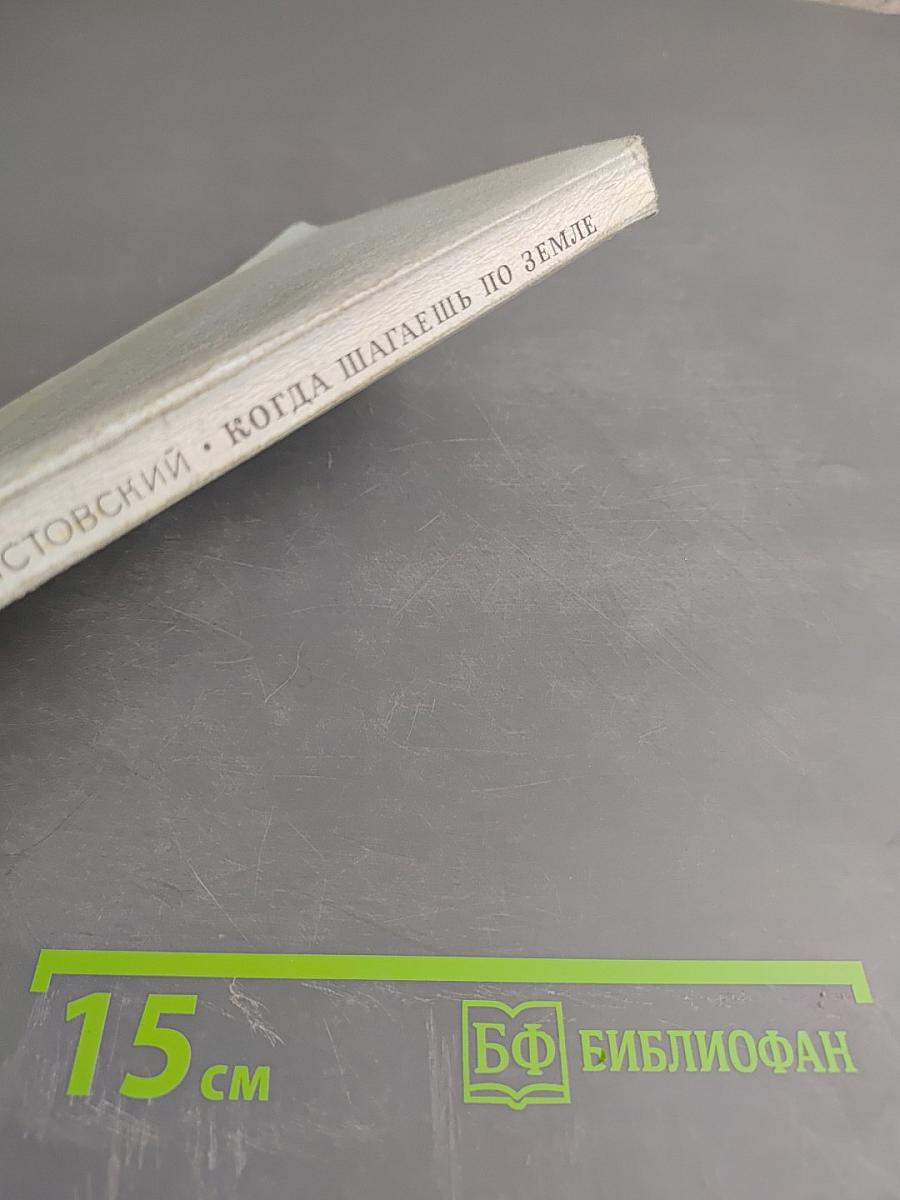 Когда шагаешь по земле