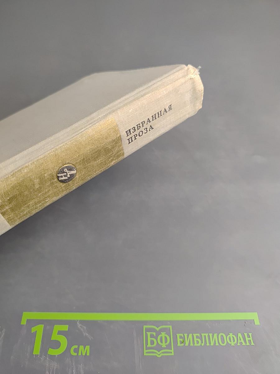 Избранная проза