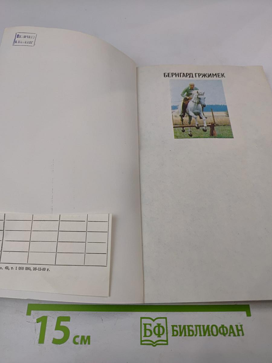 И снова лошади