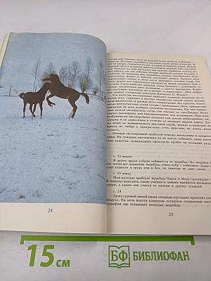 И снова лошади