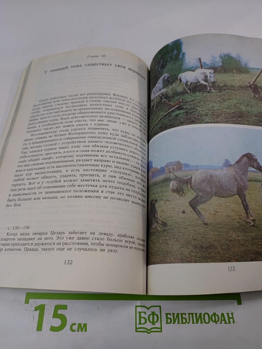 И снова лошади