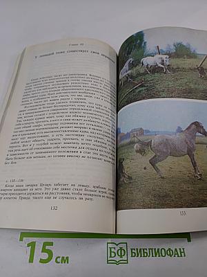 И снова лошади