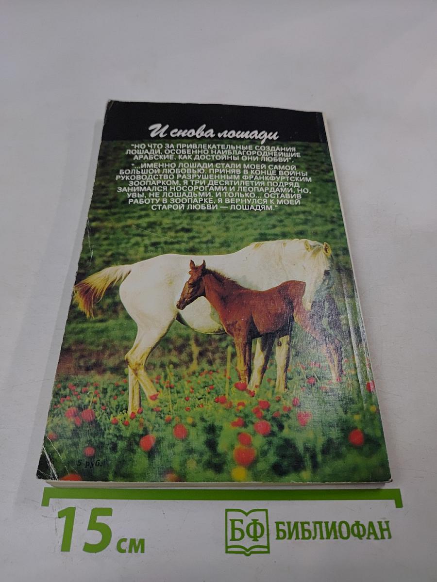 И снова лошади