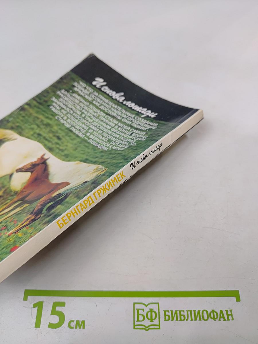 И снова лошади