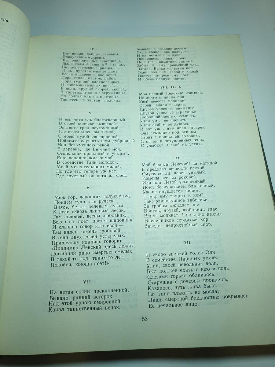 Сочинения в двух томах. Том II: Евгений Онегин, Драматические произведения, Романы и повести, Путешествие в Арзрум