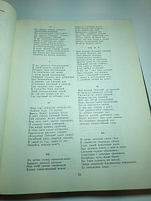 Сочинения в двух томах. Том II: Евгений Онегин, Драматические произведения, Романы и повести, Путешествие в Арзрум