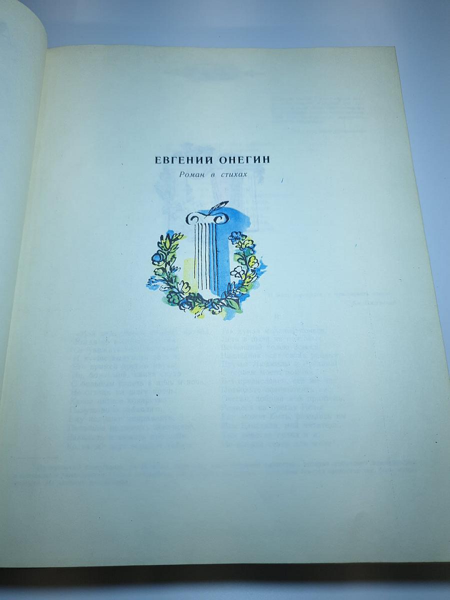 Сочинения в двух томах. Том II: Евгений Онегин, Драматические произведения, Романы и повести, Путешествие в Арзрум