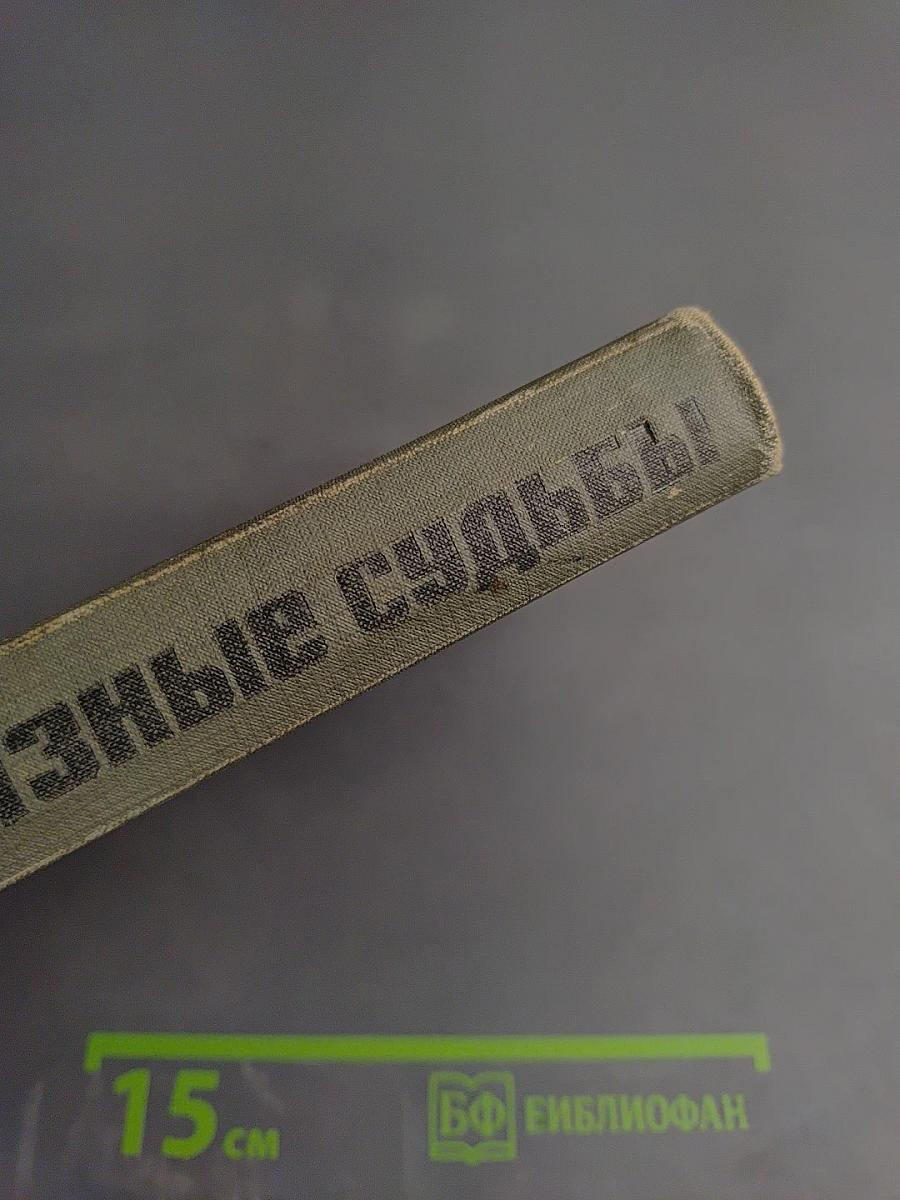 Разные судьбы