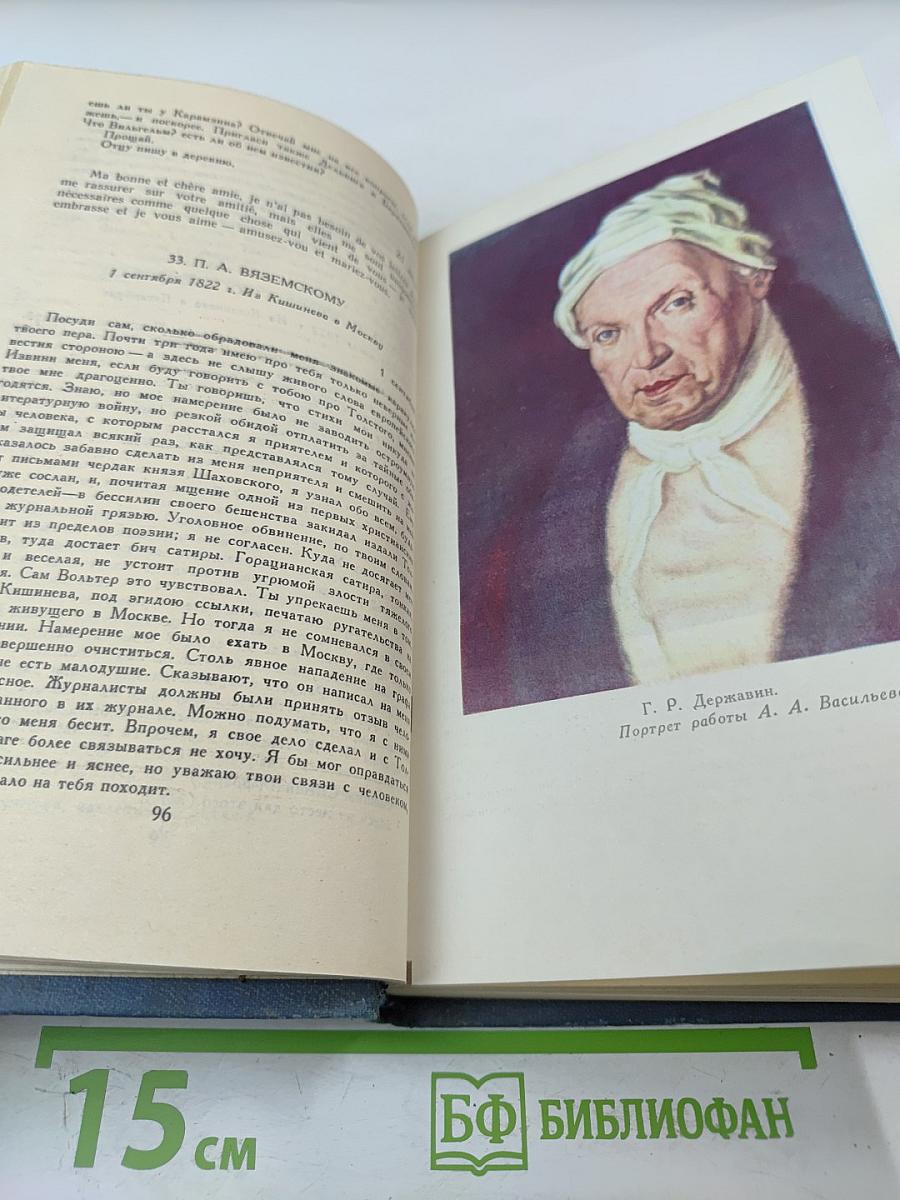 Собрание сочинений в десяти томах. Том IX: Дневники. Письма. Воспоминания