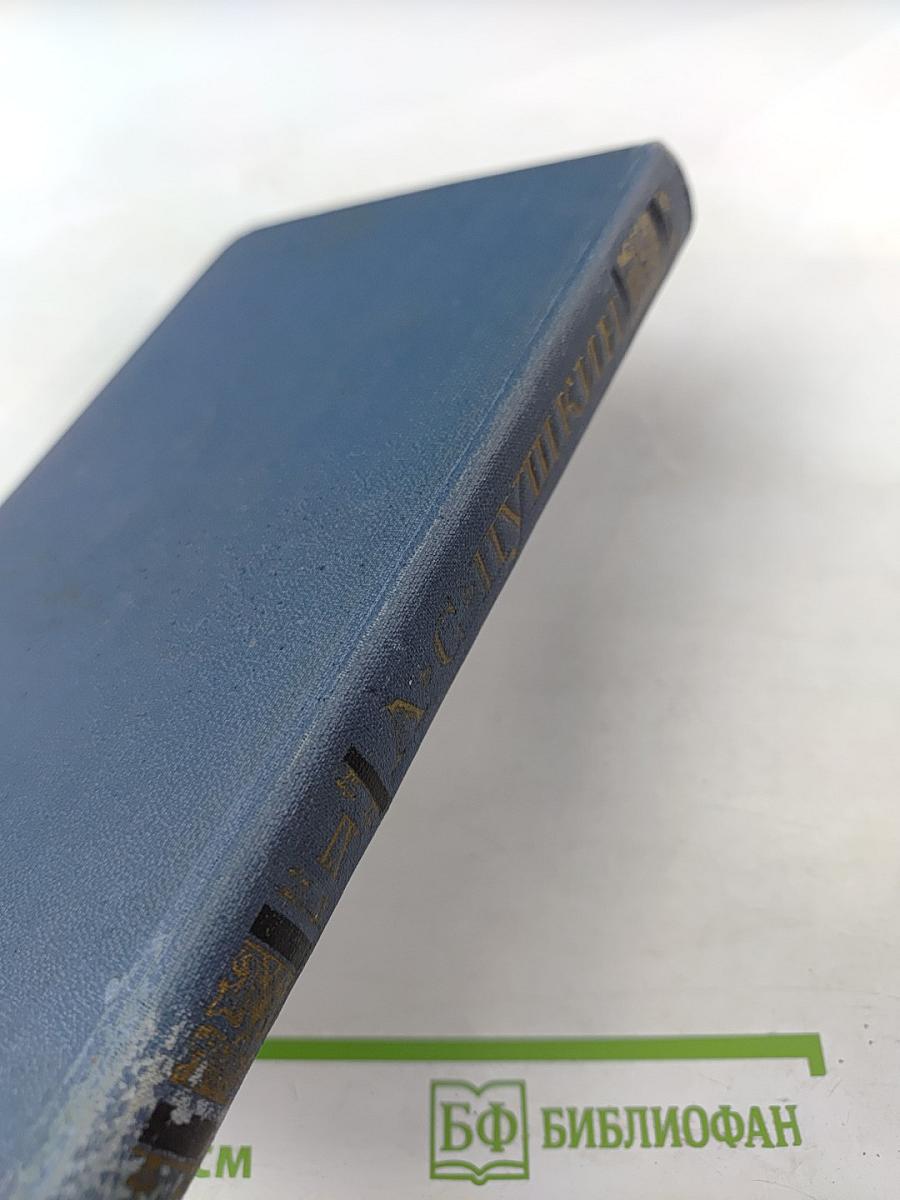 Собрание сочинений в десяти томах. Том IX: Дневники. Письма. Воспоминания