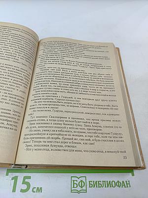 Забытый приключенческий роман