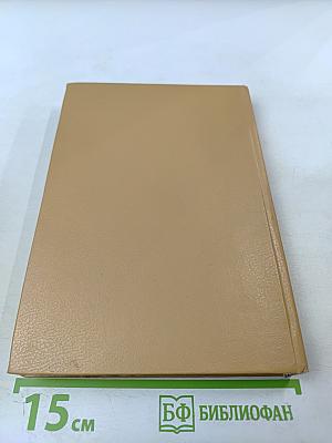 Забытый приключенческий роман