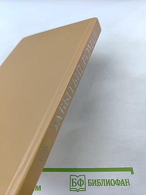 Забытый приключенческий роман