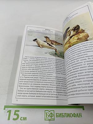 Иллюстрированный справочник. Животные