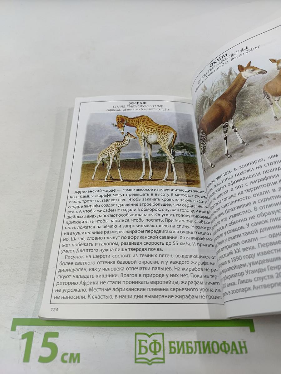 Иллюстрированный справочник. Животные