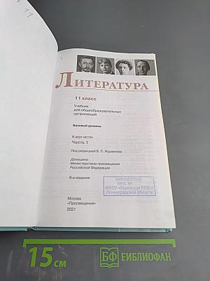Литература 11 класс Часть 1