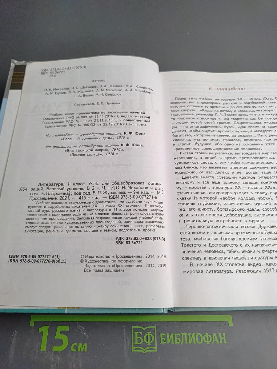 Литература 11 класс Часть 1