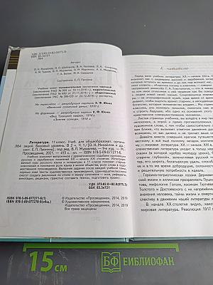 Литература 11 класс Часть 1