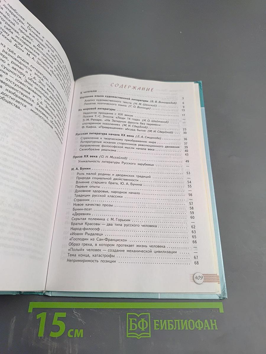 Литература 11 класс Часть 1