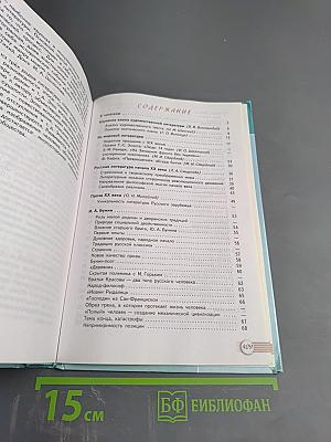 Литература 11 класс Часть 1