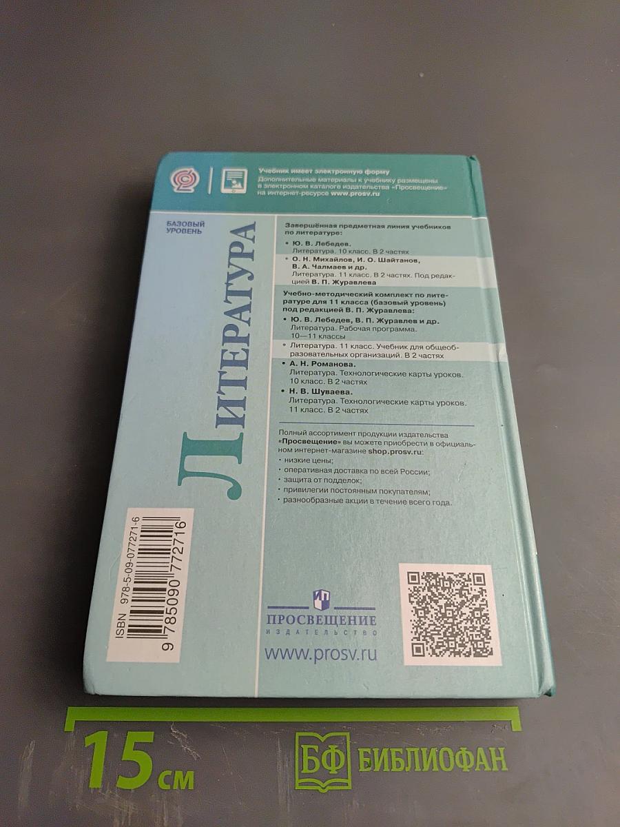 Литература 11 класс Часть 1