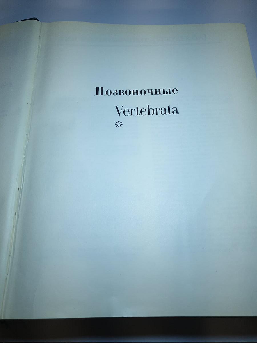 Жизнь животных. Том 6