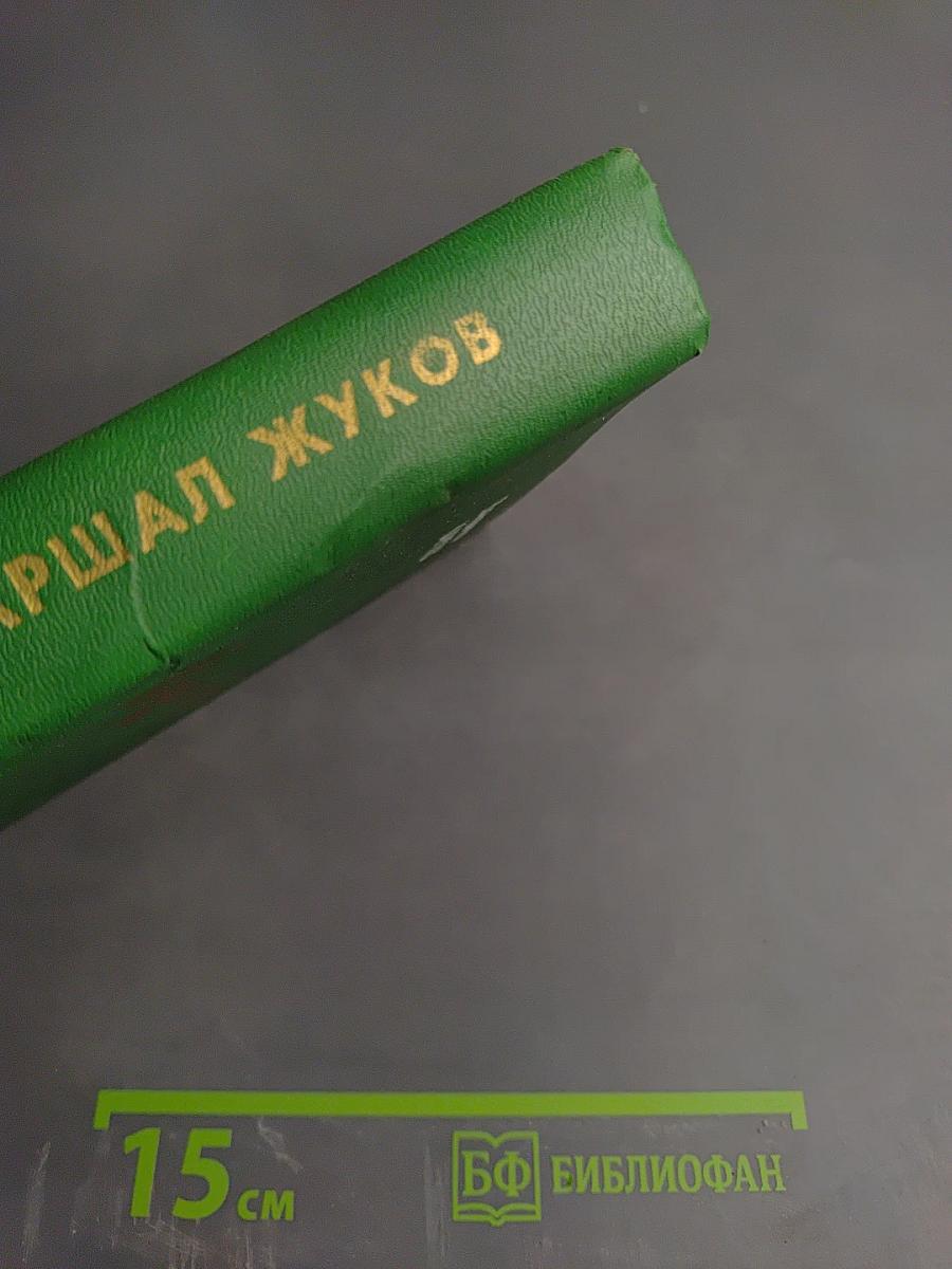 Маршал Жуков: Его соратники и противники в дни войны и мира (Литературная мозаика)