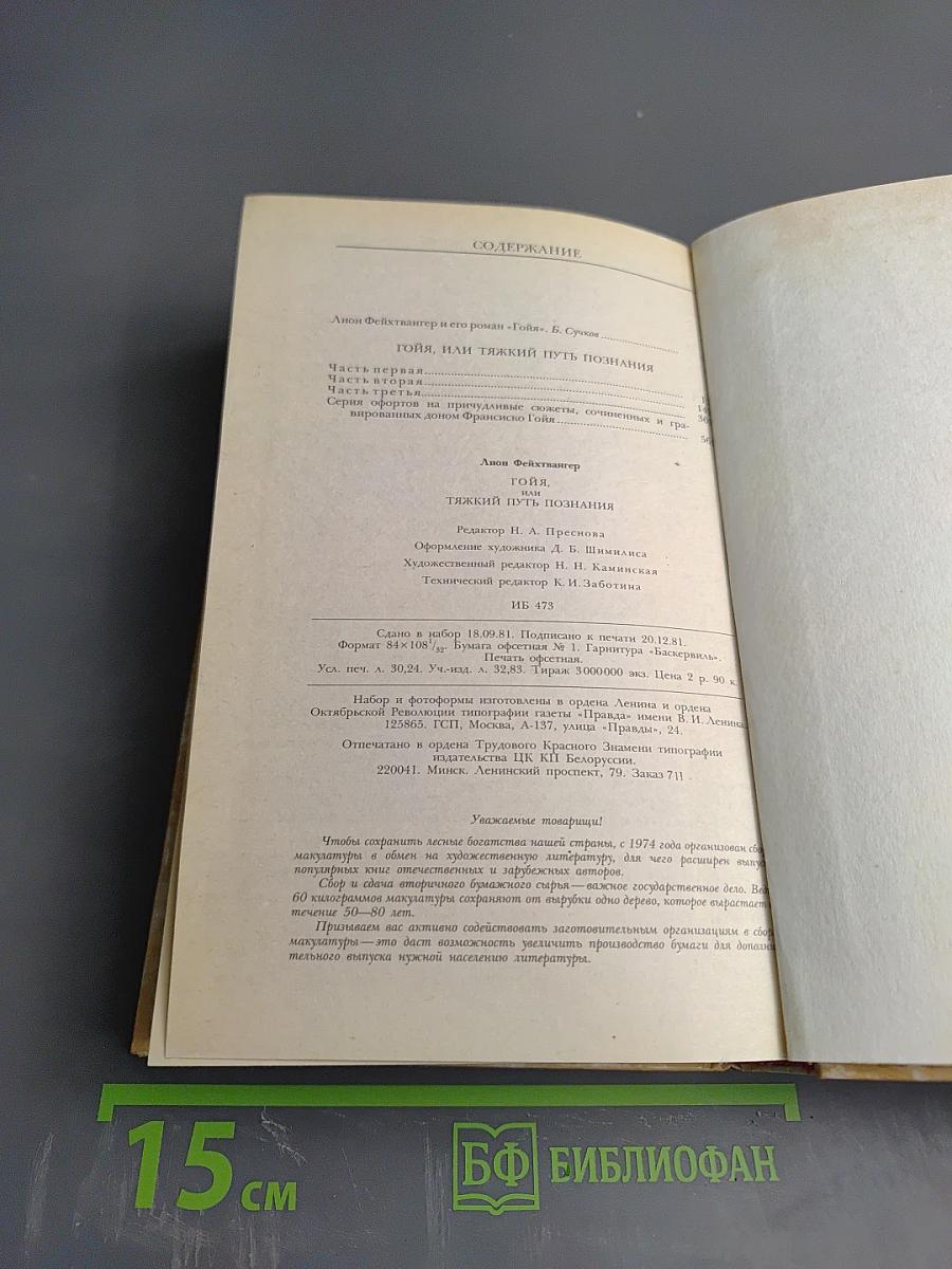 Гойя, или Тяжкий путь познания