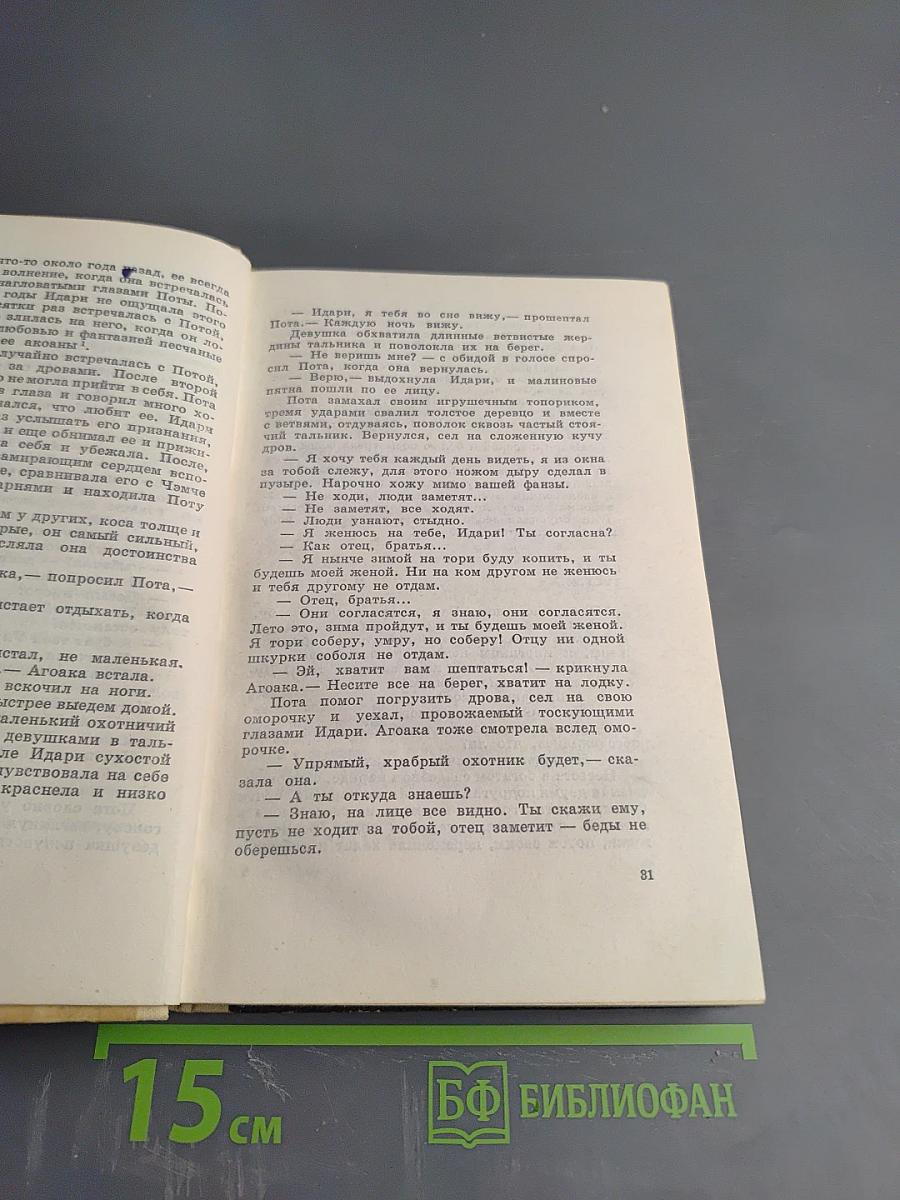 Конец большого дома