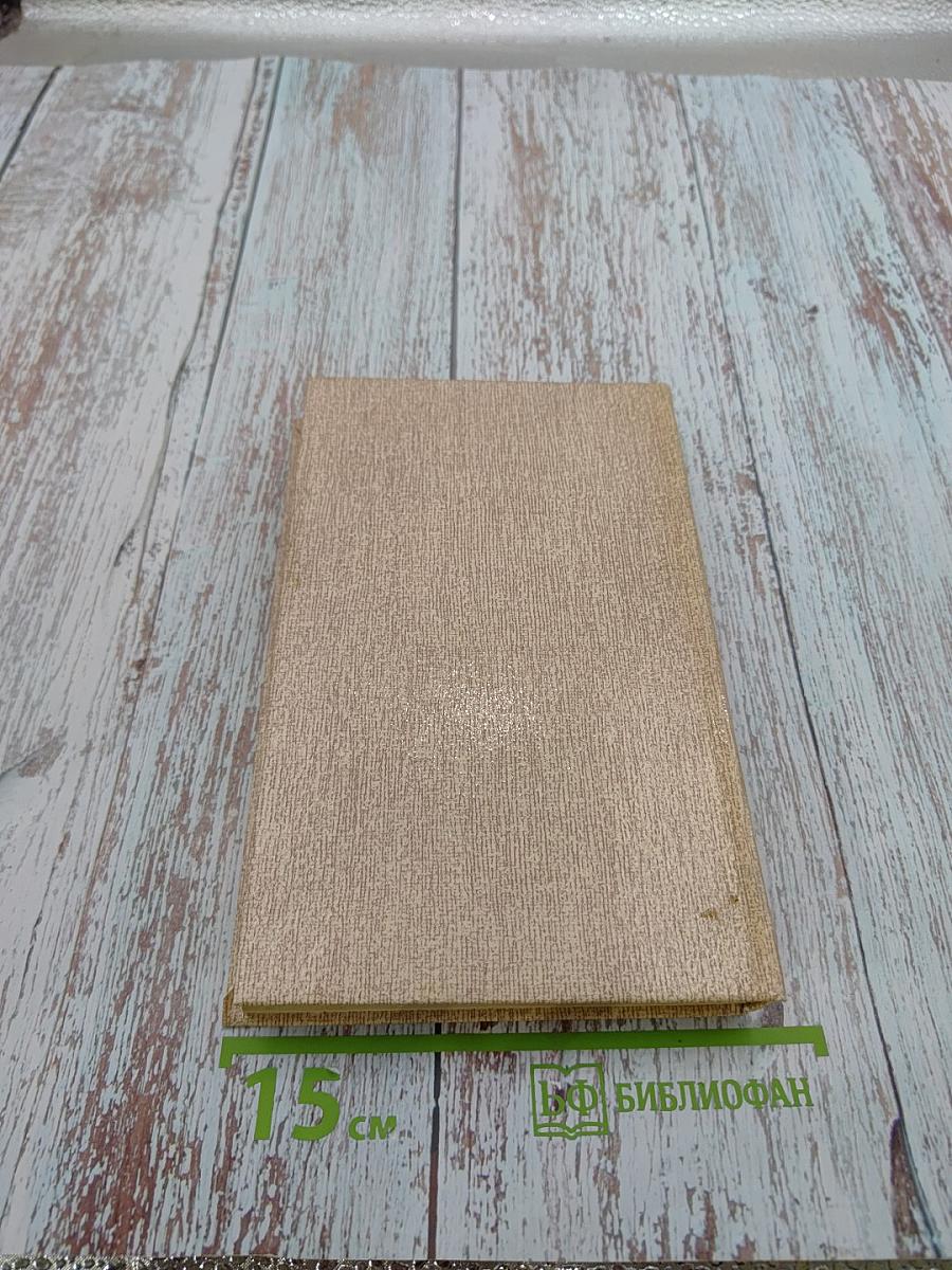 Дорожный детектив