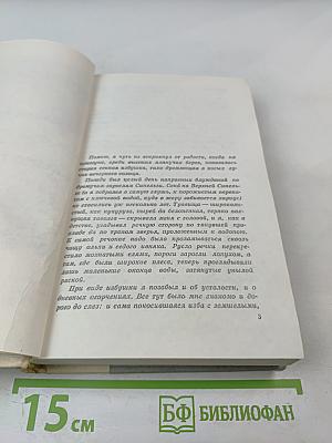 Братья и сестры. Две зимы и три лета