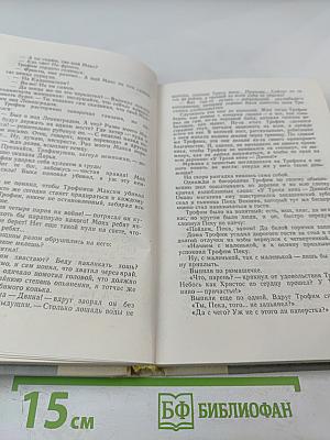 Братья и сестры. Две зимы и три лета