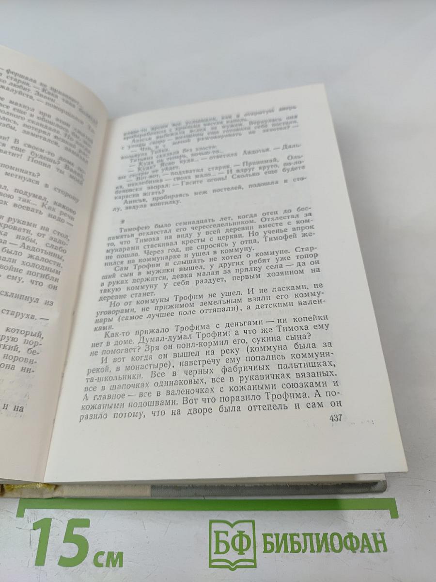 Братья и сестры. Две зимы и три лета