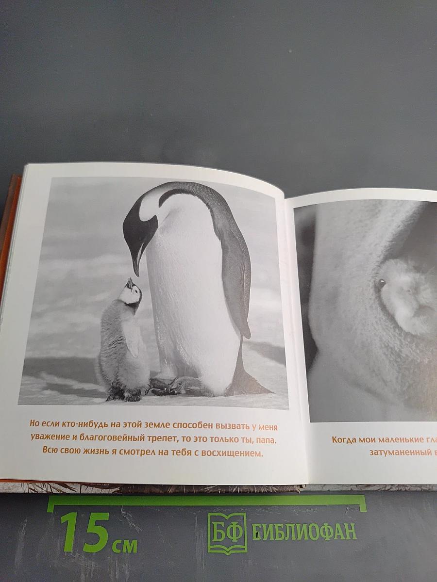 Дорогой папочка. Отец, друг и герой