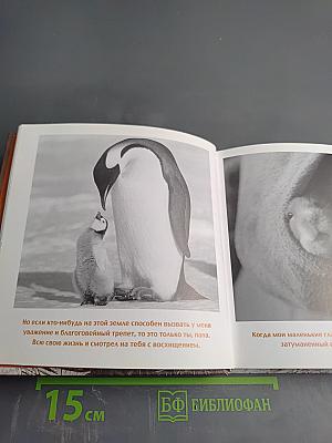 Дорогой папочка. Отец, друг и герой