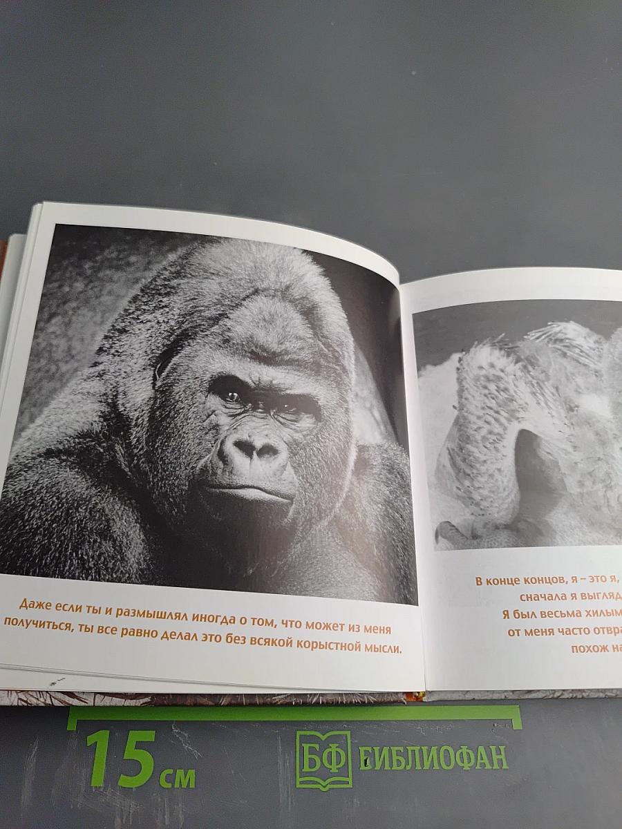 Дорогой папочка. Отец, друг и герой