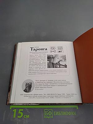 Дорогой папочка. Отец, друг и герой