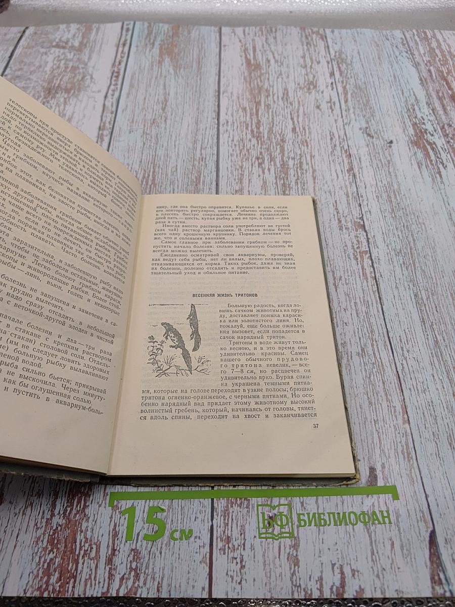 Мой живой уголок