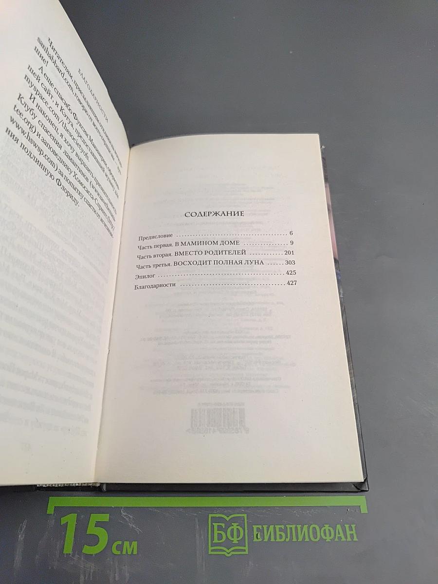 Исчезнувшая