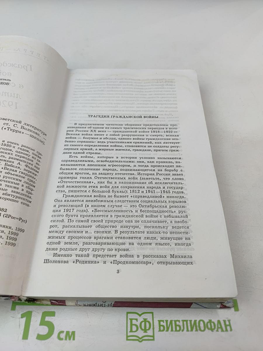 Гражданская война в советской литературе 1920-1930-х годов