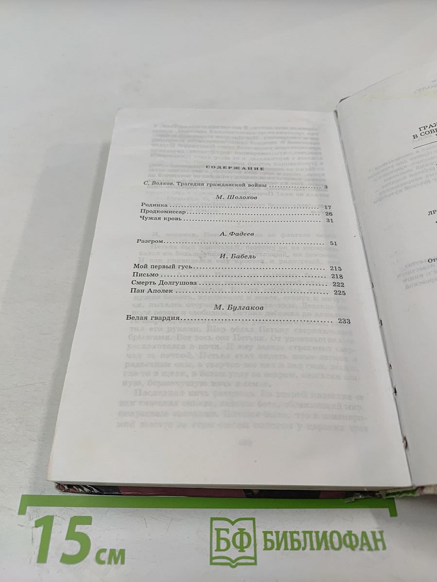 Гражданская война в советской литературе 1920-1930-х годов