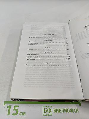 Гражданская война в советской литературе 1920-1930-х годов