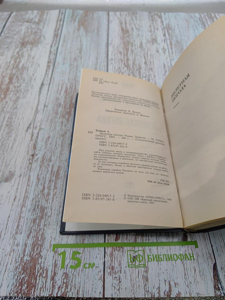 Нелетная погода