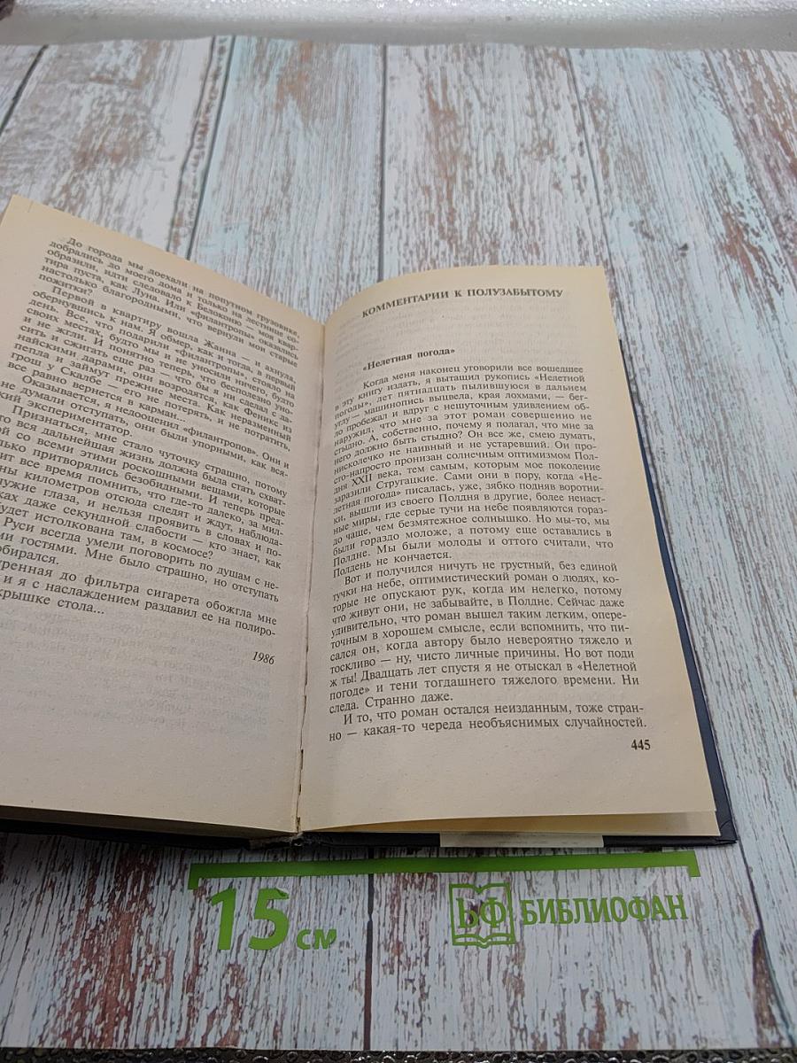 Нелетная погода