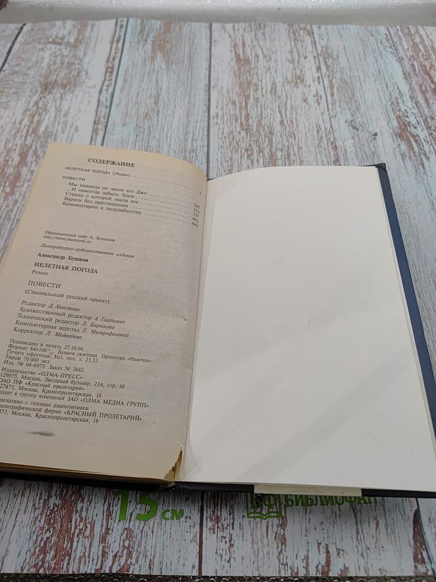 Нелетная погода