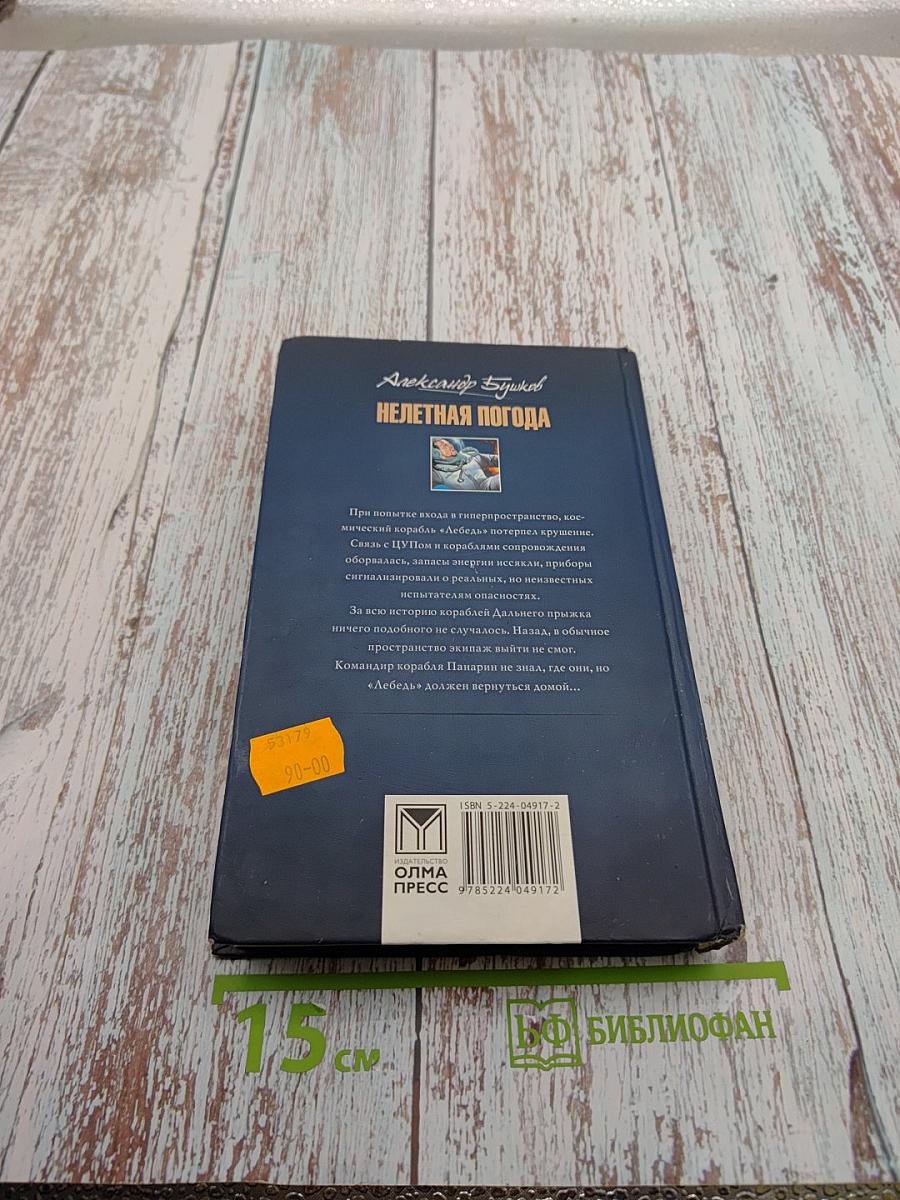 Нелетная погода