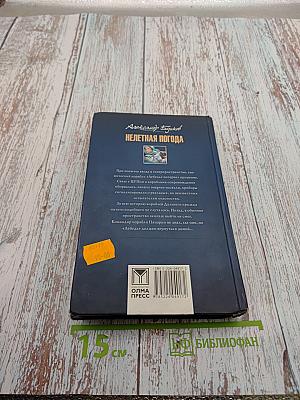 Нелетная погода