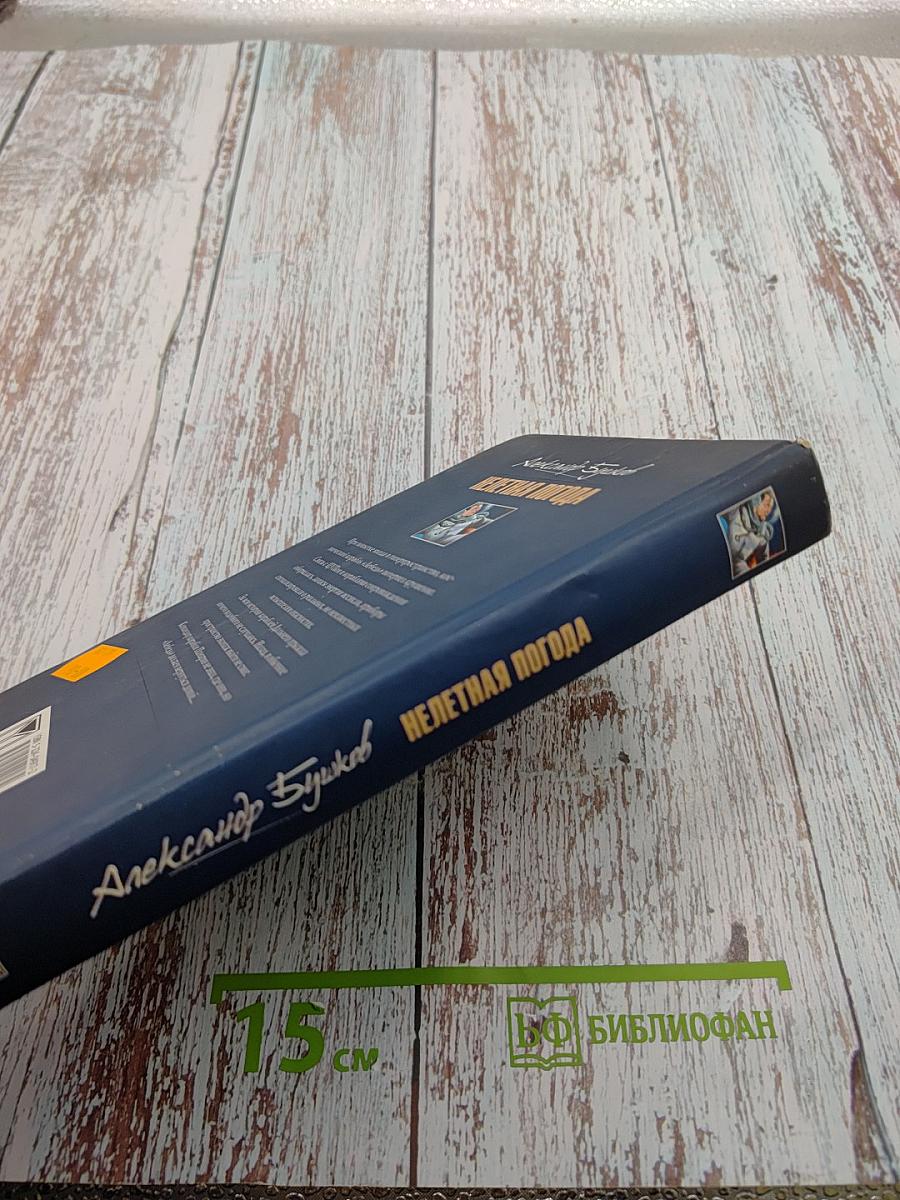 Нелетная погода